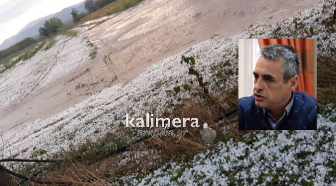 Μεγάλες ζημιές προκάλεσε το χαλάζι σε καλλιέργειες - Έκτακτο δημοτικό συμβούλιο ζητά ο Τζιούμης