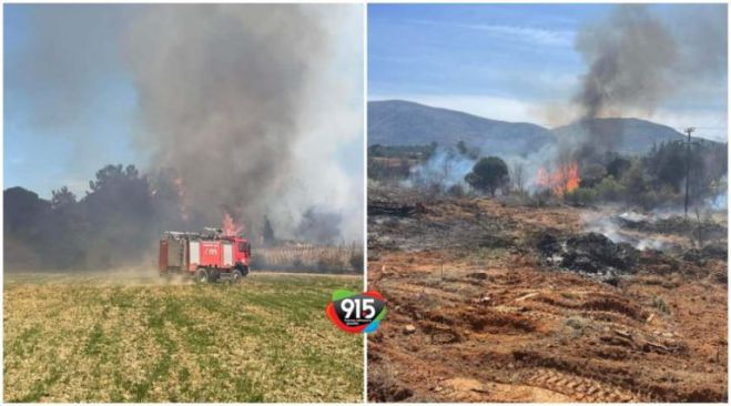 &Phi;&omega;&tau;&iota;ά &sigma;&tau;&omicron; &chi;&omega;&rho;&iota;ό &Rho;ί&zeta;&epsilon;&sigmaf; &Tau;&epsilon;&gamma;έ&alpha;&sigmaf;