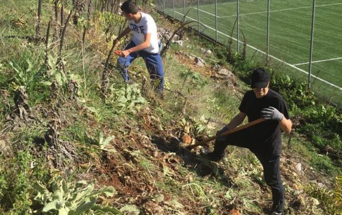 Λεβίδι - Εθελοντές καθάρισαν το χώρο γύρω από το γήπεδο 5Χ5 (εικόνες)