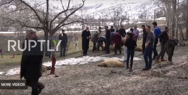 Τουρκία | Έσφαξαν 180 πρόβατα για να … ξορκίσουν τον κορονοϊό (σκληρές εικόνες)