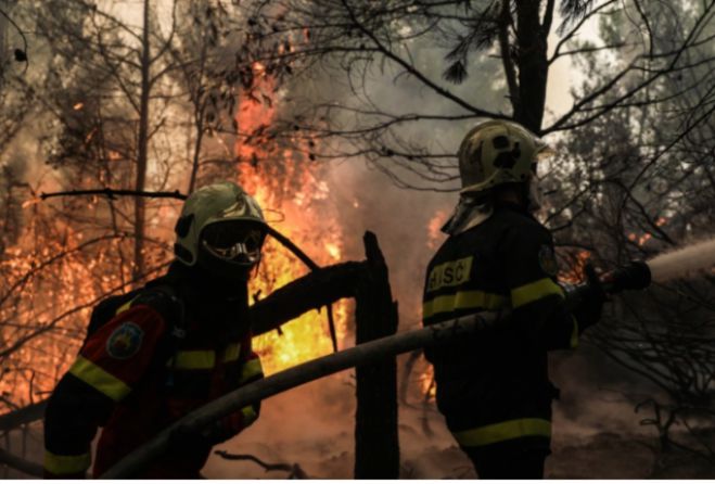 Κεφαλονιά | Συνελήφθη εποχικός πυροσβέστης για εμπρησμό - Ομολόγησε πως έβαζε φωτιές στο νησί