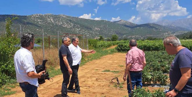 &Zeta;&eta;&mu;&iota;έ&sigmaf; &alpha;&pi;ό &tau;&omicron; &chi;&alpha;&lambda;ά&zeta;&iota; &sigma;&tau;&omicron; &Pi;&alpha;&rho;&theta;έ&nu;&iota; | &Tau;&zeta;&iota;&omicron;ύ&mu;&eta;&sigmaf;: &laquo;&Sigma;&tau;&omicron; &pi;&lambda;&epsilon;&upsilon;&rho;ό &tau;&omega;&nu; &alpha;&gamma;&rho;&omicron;&tau;ώ&nu; &mu;&alpha;&sigmaf;, &pi;&rho;&omega;&tau;&omicron;&phi;&alpha;&nu;ή&sigmaf; &eta; &delta;&omicron;&kappa;&iota;&mu;&alpha;&sigma;ί&alpha; &tau;&omicron;&upsilon;&sigmaf; &alpha;&pi;ό &tau;&eta;&nu; &kappa;&lambda;&iota;&mu;&alpha;&tau;&iota;&kappa;ή &alpha;&lambda;&lambda;&alpha;&gamma;ή&raquo;