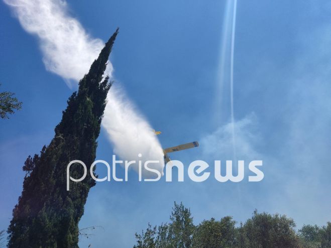 &Mu;&epsilon;&gamma;ά&lambda;&epsilon;&sigmaf; &phi;&omega;&tau;&iota;έ&sigmaf; &sigma;&epsilon; &Alpha;&chi;&alpha;ΐ&alpha; &kappa;&alpha;&iota; &Eta;&lambda;&epsilon;ί&alpha; (&epsilon;&iota;&kappa;ό&nu;&epsilon;&sigmaf; - &beta;ί&nu;&tau;&epsilon;&omicron;)