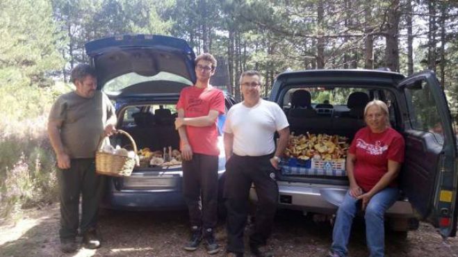 &Kappa;&upsilon;&nu;&eta;&gamma;&omicron;ί ... &mu;&alpha;&nu;&iota;&tau;&alpha;&rho;&iota;ώ&nu; &kappa;&alpha;&iota; &sigma;&tau;&eta;&nu; &pi;&epsilon;&rho;&iota;&omicron;&chi;ή &tau;&eta;&sigmaf; &Mu;&epsilon;&gamma;&alpha;&lambda;ό&pi;&omicron;&lambda;&eta;&sigmaf;!