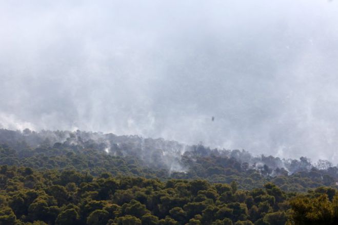 &Sigma;&epsilon; 10 &chi;&rho;ό&nu;&iota;&alpha; έ&chi;&epsilon;&iota; &kappa;&alpha;&epsilon;ί &pi;ά&nu;&omega; &alpha;&pi;ό &tau;&omicron; 60% &tau;&omega;&nu; &delta;&alpha;&sigma;ώ&nu; &sigma;&tau;&eta; &Delta;&upsilon;&tau;&iota;&kappa;ή &Alpha;&tau;&tau;&iota;&kappa;ή