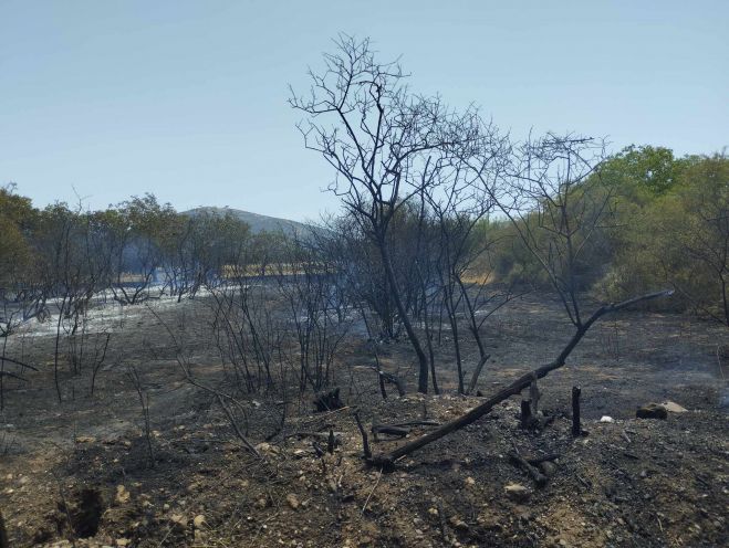 &Sigma;&beta;ή&sigma;&tau;&eta;&kappa;&epsilon; &gamma;&rho;ή&gamma;&omicron;&rho;&alpha; &eta; &phi;&omega;&tau;&iota;ά &sigma;&tau;&eta; &Gamma;&alpha;&rho;έ&alpha; &Tau;&epsilon;&gamma;έ&alpha;&sigmaf; (&epsilon;&iota;&kappa;ό&nu;&epsilon;&sigmaf;)