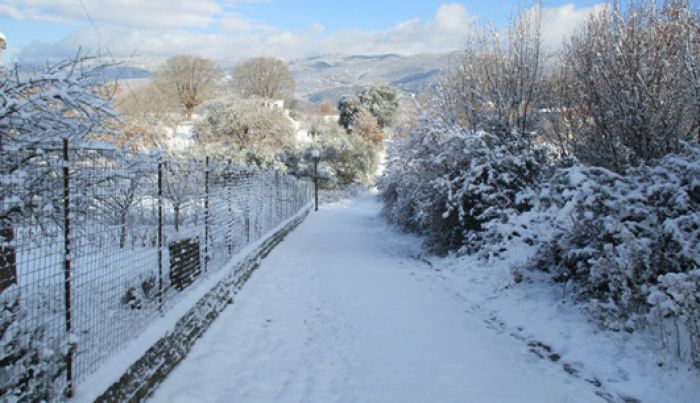 Τα νέα του Συλλόγου Ζώνης Μεγαλόπολης