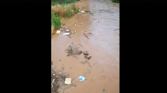 &Omicron;&rho;&gamma;ή &Pi;&alpha;&pi;&alpha;&delta;&eta;&mu;&eta;&tau;&rho;ί&omicron;&upsilon; &gamma;&iota;&alpha; &tau;&alpha; &sigma;&kappa;&omicron;&upsilon;&pi;ί&delta;&iota;&alpha; &sigma;&tau;&omicron; &gamma;&epsilon;&phi;ύ&rho;&iota; &Sigma;&tau;&epsilon;&nu;&omicron;ύ: "&Alpha;&upsilon;&tau;ό&sigmaf; &epsilon;ί&nu;&alpha;&iota; &omicron; &pi;&omicron;&lambda;&iota;&tau;&iota;&sigma;&mu;ό&sigmaf; &mu;&alpha;&sigmaf;" (vd)