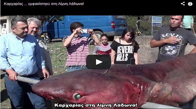 Ό&lambda;&eta; &eta; &Epsilon;&lambda;&lambda;ά&delta;&alpha; έ&mu;&alpha;&theta;&epsilon; &tau;&eta; &lambda;ί&mu;&nu;&eta; &Lambda;ά&delta;&omega;&nu;&alpha; &alpha;&pi;ό &tau;&omicron; &beta;ί&nu;&tau;&epsilon;&omicron; &tau;&omicron;&upsilon; &laquo;&Kappa;&alpha;&lambda;&eta;&mu;έ&rho;&alpha; &Alpha;&rho;&kappa;&alpha;&delta;ί&alpha;&raquo; &mu;&epsilon; &tau;&omicron;&nu; &kappa;&alpha;&rho;&chi;&alpha;&rho;ί&alpha;!