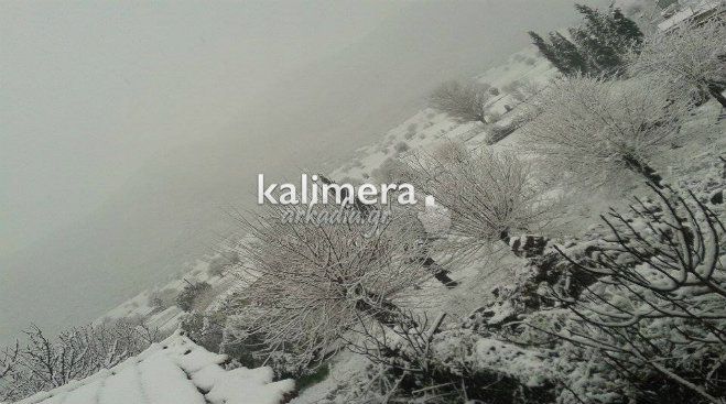&Delta;&epsilon;ί&tau;&epsilon; &epsilon;&iota;&kappa;ό&nu;&epsilon;&sigmaf; &alpha;&pi;ό &tau;&omicron;&nu; &chi;&iota;&omicron;&nu;&iota;&sigma;&mu;έ&nu;&omicron; &Lambda;&omicron;&upsilon;&kappa;ά &Alpha;&rho;&kappa;&alpha;&delta;ί&alpha;&sigmaf;!
