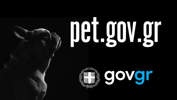 pet.gov.gr | Σε λειτουργία η πλατφόρμα για υιοθεσία αδέσποτων