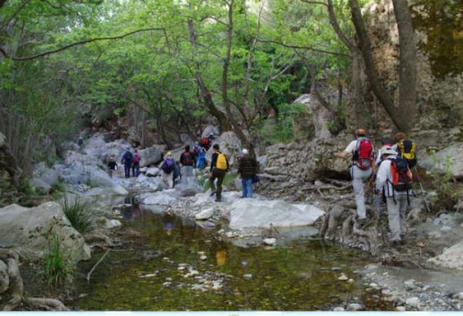 "&Pi;&rho;ά&sigma;&iota;&nu;&omicron; &phi;&omega;&sigmaf;" &gamma;&iota;&alpha; &alpha;&nu;&tau;&iota;&pi;&lambda;&eta;&mu;&mu;&upsilon;&rho;&iota;&kappa;ά έ&rho;&gamma;&alpha; &sigma;&tau;&omicron;&upsilon;&sigmaf; &pi;&omicron;&tau;&alpha;&mu;&omicron;ύ&sigmaf; &Tau;ά&nu;&omicron;&upsilon; &kappa;&alpha;&iota; &Delta;&alpha;&phi;&nu;ώ&nu;&alpha;!