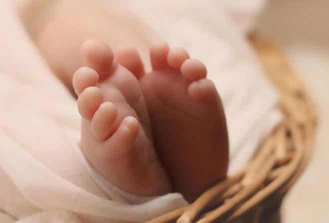 K&alpha;&lambda;&alpha;&mu;ά&tau;&alpha; | &Pi;&rho;&omicron;&phi;&upsilon;&lambda;&alpha;&kappa;&iota;&sigma;&tau;έ&alpha; &eta; 24&chi;&rho;&omicron;&nu;&eta; &pi;&omicron;&upsilon; &pi;έ&tau;&alpha;&xi;&epsilon; &tau;&omicron; &mu;&omega;&rho;ό &tau;&eta;&sigmaf; &sigma;&epsilon; &kappa;ά&delta;&omicron;