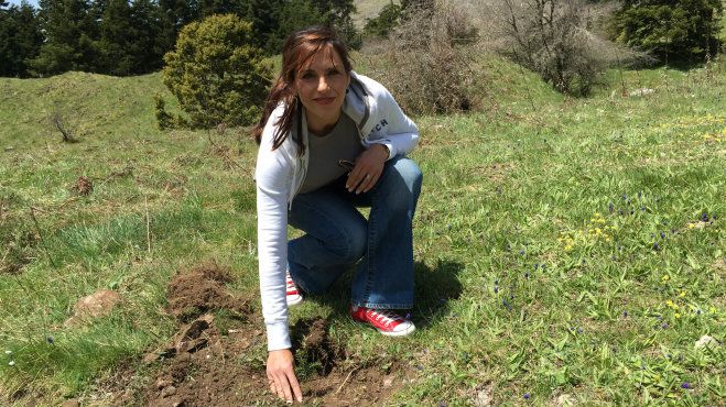 &Epsilon;ύ&eta; &Tau;&alpha;&tau;&omicron;ύ&lambda;&eta;: &laquo;&Tau;&alpha; &delta;ά&sigma;&eta; &mu;&alpha;&sigmaf; &mu;έ&nu;&omicron;&upsilon;&nu; &zeta;&omega;&nu;&tau;&alpha;&nu;ά, ό&tau;&alpha;&nu; &omicron;&iota; ά&nu;&theta;&rho;&omega;&pi;&omicron;&iota; &tau;&alpha; &pi;&rho;&omicron;&sigma;&tau;&alpha;&tau;&epsilon;ύ&omicron;&upsilon;&nu;&raquo; (vd)