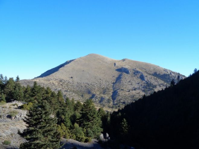 Παγκόσμια Ημέρα Βουνού στο Μαίναλο!