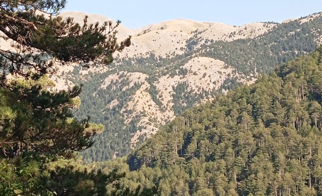 Φίλοι του Ταϋγέτου από Αρκαδία, Μεσσηνία, Λακωνία σε μια ιστορική σύναξη
