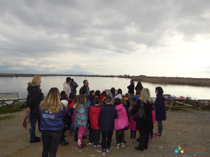 &Sigma;&tau;&omicron;&nu; &upsilon;&gamma;&rho;ό&tau;&omicron;&pi;&omicron; &Mu;&omicron;&upsilon;&sigma;&tau;&omicron;ύ &pi;ή&gamma;&alpha;&nu; &mu;&alpha;&theta;&eta;&tau;έ&sigmaf; &alpha;&pi;ό &tau;&omicron; &Delta;&eta;&mu;&omicron;&tau;&iota;&kappa;ό &Sigma;&chi;&omicron;&lambda;&epsilon;ί&omicron; &Sigma;&tau;&alpha;&delta;ί&omicron;&upsilon; (&epsilon;&iota;&kappa;ό&nu;&epsilon;&sigmaf;)