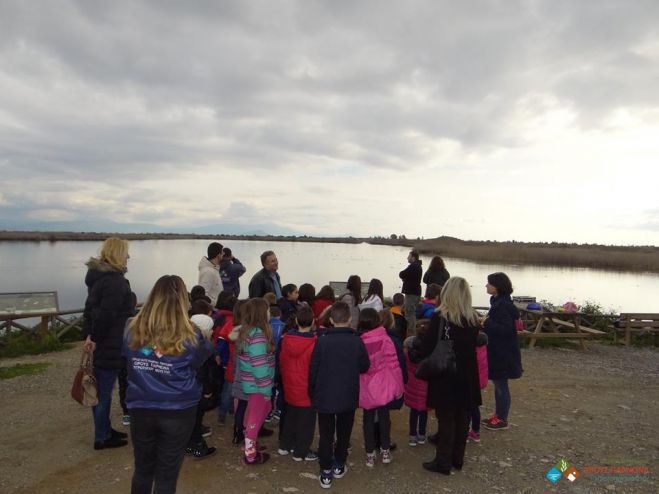 &Sigma;&tau;&omicron;&nu; &upsilon;&gamma;&rho;ό&tau;&omicron;&pi;&omicron; &Mu;&omicron;&upsilon;&sigma;&tau;&omicron;ύ &pi;ή&gamma;&alpha;&nu; &mu;&alpha;&theta;&eta;&tau;έ&sigmaf; &alpha;&pi;ό &tau;&omicron; &Delta;&eta;&mu;&omicron;&tau;&iota;&kappa;ό &Sigma;&chi;&omicron;&lambda;&epsilon;ί&omicron; &Sigma;&tau;&alpha;&delta;ί&omicron;&upsilon; (&epsilon;&iota;&kappa;ό&nu;&epsilon;&sigmaf;)