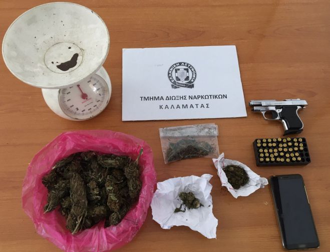&Alpha;&sigma;&tau;&upsilon;&nu;&omicron;&mu;&iota;&kappa;ό&sigmaf; &sigma;&kappa;ύ&lambda;&omicron;&sigmaf; &epsilon;&nu;&tau;ό&pi;&iota;&sigma;&epsilon; &pi;&omicron;&sigma;ό&tau;&eta;&tau;&epsilon;&sigmaf; &kappa;ά&nu;&nu;&alpha;&beta;&eta;&sigmaf; &sigma;&tau;&eta; &Mu;&epsilon;&sigma;&sigma;&eta;&nu;ί&alpha;