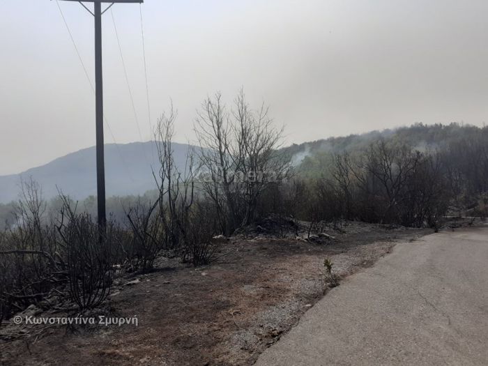 &Mu;&epsilon;&gamma;&alpha;&lambda;ό&pi;&omicron;&lambda;&eta; | &Sigma;&tau;&eta;&nu; &pi;&rho;ώ&tau;&eta; &gamma;&rho;&alpha;&mu;&mu;ή &tau;&omega;&nu; &pi;&upsilon;&rho;&kappa;&alpha;&gamma;&iota;ώ&nu; &omicron; &Kappa;&upsilon;&nu;&eta;&gamma;&epsilon;&tau;&iota;&kappa;ό&sigmaf; &Sigma;ύ&lambda;&lambda;&omicron;&gamma;&omicron;&sigmaf; - "&Sigma;&upsilon;&gamma;&chi;&alpha;&rho;&eta;&tau;ή&rho;&iota;&alpha; &sigma;&tau;&omicron;&nu; &Delta;ή&mu;&omicron; &pi;&omicron;&upsilon; &epsilon;ί&chi;&epsilon; &sigma;&upsilon;&nu;&tau;&eta;&rho;ή&sigma;&epsilon;&iota; &tau;&omicron;&upsilon;&sigmaf; &alpha;&gamma;&rho;&omicron;&tau;&iota;&kappa;&omicron;ύ&sigmaf; &delta;&rho;ό&mu;&omicron;&upsilon;&sigmaf;"