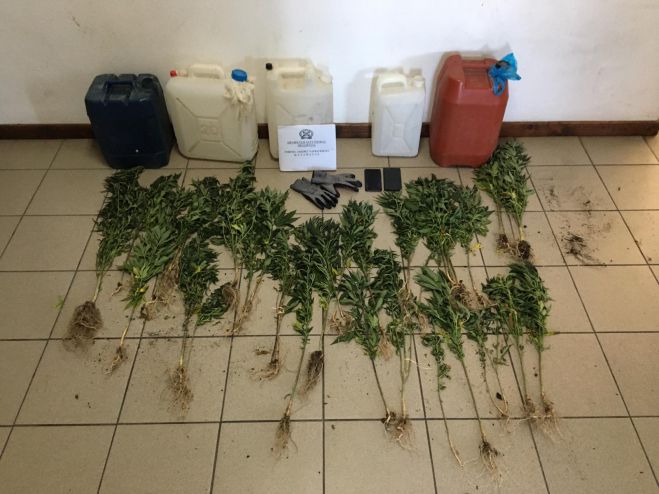 &Sigma;&upsilon;&nu;&epsilon;&lambda;ή&phi;&theta;&eta;&sigma;&alpha;&nu; &delta;ύ&omicron; ά&tau;&omicron;&mu;&alpha; &gamma;&iota;&alpha; &nu;&alpha;&rho;&kappa;&omega;&tau;&iota;&kappa;ά &sigma;&tau;&eta;&nu; &Mu;&epsilon;&sigma;&sigma;&eta;&nu;ί&alpha;