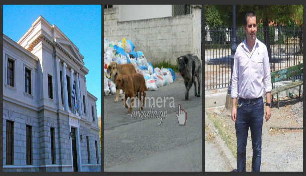 &Sigma;&tau;&omicron;&nu; &Epsilon;&iota;&sigma;&alpha;&gamma;&gamma;&epsilon;&lambda;έ&alpha; &omicron; &alpha;&nu;&tau;&iota;&delta;ή&mu;&alpha;&rho;&chi;&omicron;&sigmaf; &Mu;&pi;&omicron;ύ&rho;&alpha;&sigmaf; &gamma;&iota;&alpha; &tau;&omicron; &zeta;ή&tau;&eta;&mu;&alpha; &mu;&epsilon; &tau;&alpha; &alpha;&delta;έ&sigma;&pi;&omicron;&tau;&alpha; &sigma;&tau;&eta;&nu; &Tau;&rho;ί&pi;&omicron;&lambda;&eta;!