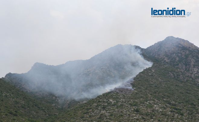 &Delta;&epsilon;ί&tau;&epsilon; &epsilon;&iota;&kappa;ό&nu;&epsilon;&sigmaf; &alpha;&pi;ό &tau;&eta; &phi;&omega;&tau;&iota;ά &sigma;&tau;&alpha; &Pi;&omicron;ύ&lambda;&iota;&theta;&rho;&alpha; &Kappa;&upsilon;&nu;&omicron;&upsilon;&rho;ί&alpha;&sigmaf;