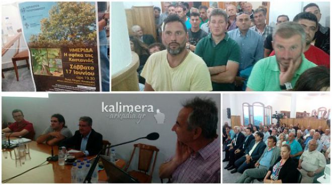 Έντονος προβληματισμός για τη «σφήκα της καστανιάς» στην Αρκαδία (vd)