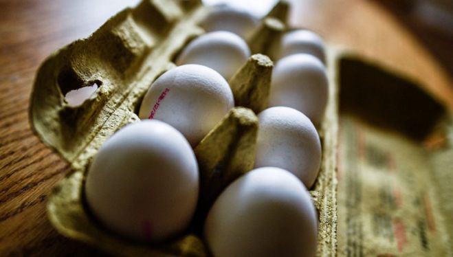 "&Delta;&epsilon;&nu; έ&chi;&omicron;&upsilon;&nu; &epsilon;&nu;&tau;&omicron;&pi;&iota;&sigma;&tau;&epsilon;ί &mu;&omicron;&lambda;&upsilon;&sigma;&mu;έ&nu;&alpha; &alpha;&upsilon;&gamma;ά &sigma;&tau;&eta;&nu; &Epsilon;&lambda;&lambda;ά&delta;&alpha;" &xi;&epsilon;&kappa;&alpha;&theta;&alpha;&rho;ί&zeta;&epsilon;&iota; &omicron; &Epsilon;&Phi;&Epsilon;&Tau;