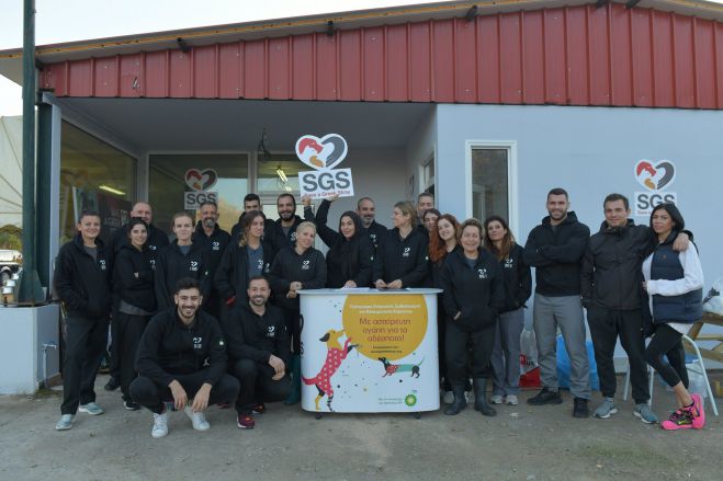 "Save a Greek Stray": "164 &alpha;&delta;έ&sigma;&pi;&omicron;&tau;&alpha; &zeta;ώ&alpha; &epsilon;&mu;&beta;&omicron;&lambda;&iota;ά&sigma;&tau;&eta;&kappa;&alpha;&nu;, &sigma;&tau;&epsilon;&iota;&rho;ώ&theta;&eta;&kappa;&alpha;&nu; &kappa;&alpha;&iota; &tau;&sigma;&iota;&pi;&alpha;&rho;ί&sigma;&tau;&eta;&kappa;&alpha;&nu; &sigma;&tau;&eta;&nu; &Tau;&rho;ί&pi;&omicron;&lambda;&eta;"