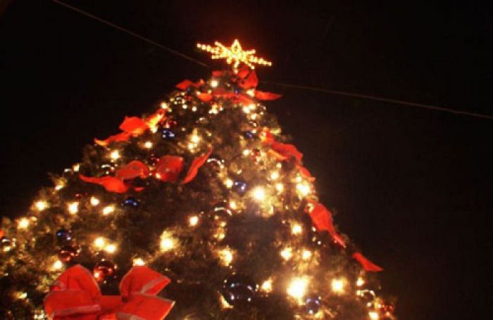 Φωταγώγηση του χριστουγεννιάτικου δένδρου στη Δημητσάνα