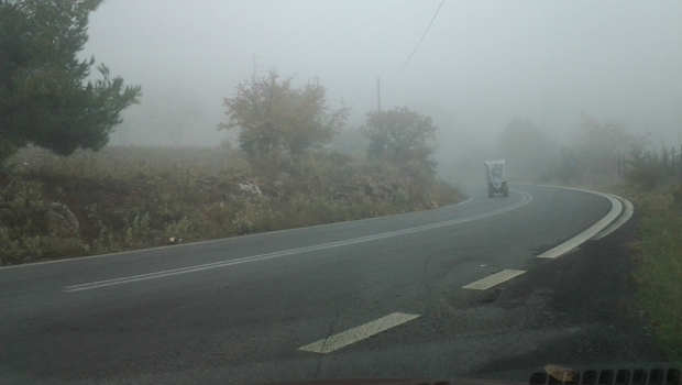 &Omicron;&mu;ί&chi;&lambda;&eta; &pi;&alpha;&nu;&tau;&omicron;ύ &sigma;ή&mu;&epsilon;&rho;&alpha; &sigma;&tau;&eta;&nu; &Tau;&rho;ί&pi;&omicron;&lambda;&eta; &ndash; &Pi;&rho;&omicron;&sigma;&epsilon;&kappa;&tau;&iota;&kappa;&omicron;ί &pi;&rho;έ&pi;&epsilon;&iota; &nu;&alpha; &epsilon;ί&nu;&alpha;&iota; &omicron;&iota; &omicron;&delta;&eta;&gamma;&omicron;ί (&epsilon;&iota;&kappa;ό&nu;&epsilon;&sigmaf;)