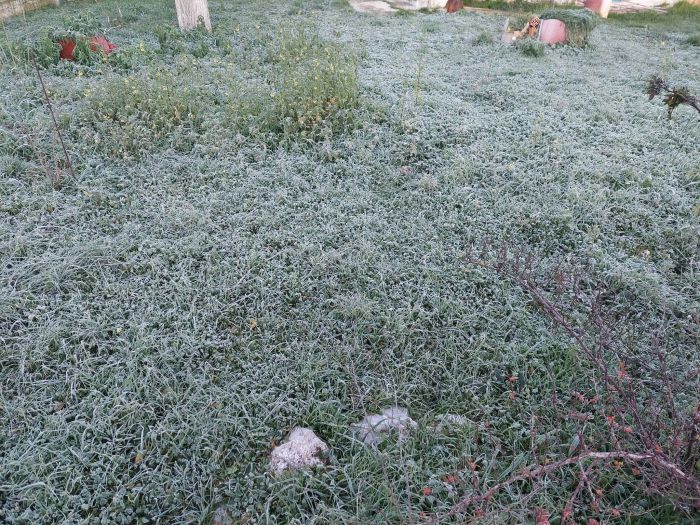 &Pi;&alpha;&gamma;&epsilon;&tau;ό&sigmaf; &kappa;&alpha;&iota; -6.5&omicron; C &sigma;&tau;&alpha; &Pi;&epsilon;&lambda;&epsilon;&tau;ά &Kappa;&upsilon;&nu;&omicron;&upsilon;&rho;ί&alpha;&sigmaf;!