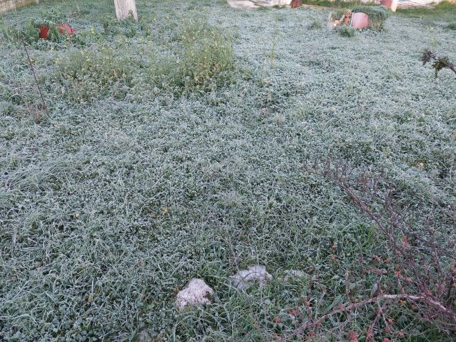 &Pi;&alpha;&gamma;&epsilon;&tau;ό&sigmaf; &kappa;&alpha;&iota; -6.5&omicron; C &sigma;&tau;&alpha; &Pi;&epsilon;&lambda;&epsilon;&tau;ά &Kappa;&upsilon;&nu;&omicron;&upsilon;&rho;ί&alpha;&sigmaf;!