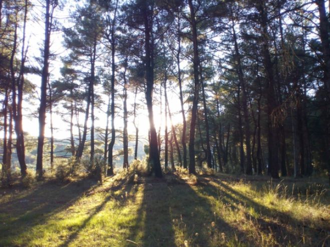 &Pi;&epsilon;&rho;ί&pi;&alpha;&tau;&omicron;&sigmaf; &kappa;&alpha;&iota; &kappa;&alpha;&theta;&alpha;&rho;&iota;&sigma;&mu;ό&sigmaf; &sigma;&tau;&omicron; ά&lambda;&sigma;&omicron;&sigmaf; &Pi;&alpha;&nu;&alpha;&rho;&kappa;ά&delta;&omega;&nu;