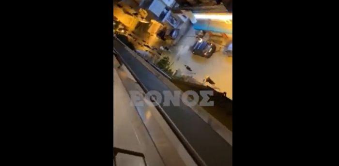 &Zeta;&omega;&gamma;&rho;ά&phi;&omicron;&upsilon; | &Beta;ί&nu;&tau;&epsilon;&omicron; - &nu;&tau;&omicron;&kappa;&omicron;&upsilon;&mu;έ&nu;&tau;&omicron; &alpha;&pi;ό &tau;&omicron; &xi;ύ&lambda;&omicron; &alpha;&nu;ά&mu;&epsilon;&sigma;&alpha; &sigma;&epsilon; 15&chi;&rho;&omicron;&nu;&omicron;&upsilon;&sigmaf; &mu;&alpha;&theta;&eta;&tau;έ&sigmaf;