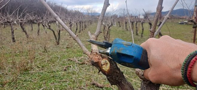 Βιώματα απο τον Μαντινειακό κάμπο νο3