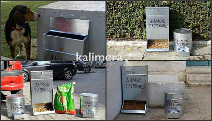 Τρίπολη: Σε 12 σημεία θα τοποθετηθούν ταΐστρες για τα αδέσποτα