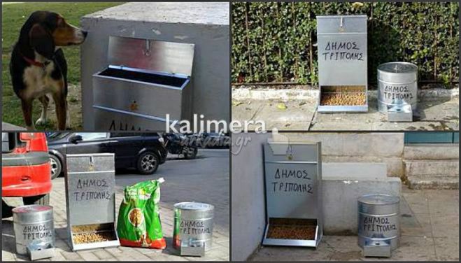 Τρίπολη: Σε 12 σημεία θα τοποθετηθούν ταΐστρες για τα αδέσποτα