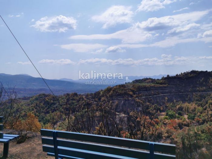 Περιφέρεια | Διαγωνισμός για έργα σε δρόμους στην πυρόπληκτη Γορτυνία - Ποιες περιοχές αφορά