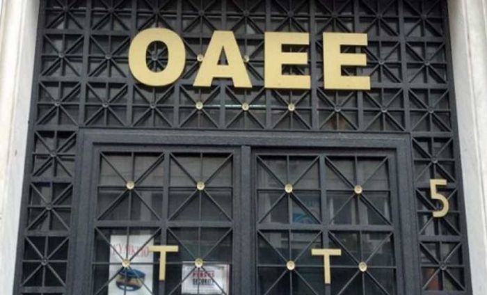 &Omicron;&Alpha;&Epsilon;&Epsilon;: &Pi;ό&sigma;&omicron; &theta;&alpha; &pi;&lambda;&eta;&rho;ώ&sigma;&epsilon;&tau;&epsilon; &tau;&omicron; 2017 &gamma;&iota;&alpha; &alpha;&sigma;&phi;&alpha;&lambda;&iota;&sigma;&tau;&iota;&kappa;έ&sigmaf; &epsilon;&iota;&sigma;&phi;&omicron;&rho;έ&sigmaf;