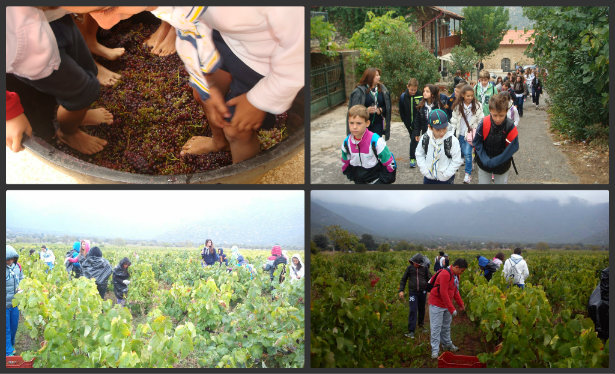 &Pi;&alpha;&iota;&delta;&iota;ά &alpha;&pi;ό &tau;&omicron; &sigma;ώ&mu;&alpha; &Omicron;&delta;&eta;&gamma;&iota;&sigma;&mu;&omicron;ύ &pi;ά&tau;&eta;&sigma;&alpha;&nu; &sigma;&tau;&alpha;&phi;ύ&lambda;&iota;&alpha; &sigma;&tau;&omicron;&nu; &Pi;&alpha;&lambda;&alpha;&iota;ό&pi;&upsilon;&rho;&gamma;&omicron; (&epsilon;&iota;&kappa;ό&nu;&epsilon;&sigmaf;)