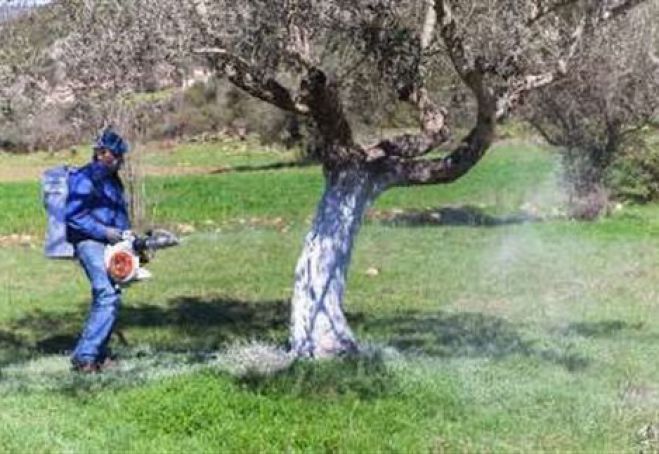 Δακοκτονία στην Αρκαδία | Οι προσλήψεις εποχικών! (ονόματα)