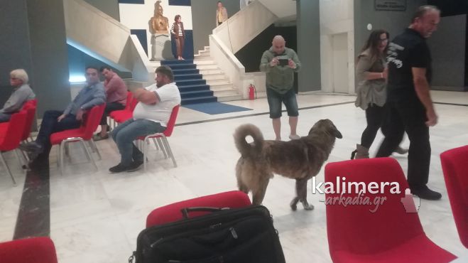 Ένας … σκύλος στο περιφερειακό συμβούλιο!