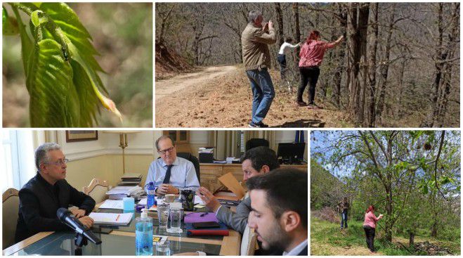 &Beta;ό&rho;&epsilon;&iota;&alpha; &Kappa;&upsilon;&nu;&omicron;&upsilon;&rho;ί&alpha; | &Mu;έ&tau;&rho;&alpha; &pi;&rho;&omicron;&sigma;&tau;&alpha;&sigma;ί&alpha;&sigmaf; &gamma;&iota;&alpha; &tau;&eta;&nu; &alpha;&nu;&tau;&iota;&mu;&epsilon;&tau;ώ&pi;&iota;&sigma;&eta; &tau;&omicron;&upsilon; &pi;&rho;&omicron;&beta;&lambda;ή&mu;&alpha;&tau;&omicron;&sigmaf; &tau;&eta;&sigmaf; &sigma;&phi;ή&kappa;&alpha;&sigmaf; &tau;&eta;&sigmaf; &kappa;&alpha;&sigma;&tau;&alpha;&nu;&iota;ά&sigmaf; (&epsilon;&iota;&kappa;ό&nu;&epsilon;&sigmaf;)