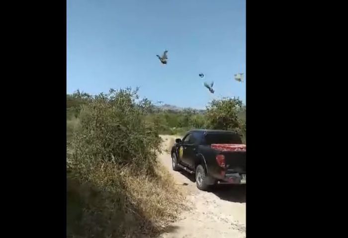 &Kappa;&upsilon;&nu;&eta;&gamma;&omicron;ί &sigma;&tau;&eta;&nu; &Tau;&rho;ί&pi;&omicron;&lambda;&eta; &alpha;&pi;&epsilon;&lambda;&epsilon;&upsilon;&theta;έ&rho;&omega;&sigma;&alpha;&nu; &phi;&alpha;&sigma;&iota;&alpha;&nu;&omicron;ύ&sigmaf; (vd)