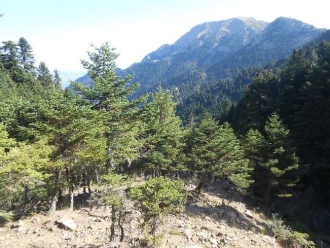 &Sigma;&Alpha;&Omicron;&Omicron; | &Epsilon;&pi;ό&mu;&epsilon;&nu;&eta; &epsilon;&xi;ό&rho;&mu;&eta;&sigma;&eta; &sigma;&tau;&omicron;&nu; &Epsilon;&rho;ύ&mu;&alpha;&nu;&theta;&omicron;