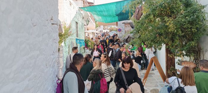&Kappa;&alpha;&sigma;&tau;ά&nu;&iota;&tau;&sigma;&alpha; | &Sigma;&tau;&iota;&sigmaf; 24 &kappa;&alpha;&iota; 25 &Omicron;&kappa;&tau;&omega;&beta;&rho;ί&omicron;&upsilon; &eta; &Gamma;&iota;&omicron;&rho;&tau;ή &Kappa;ά&sigma;&tau;&alpha;&nu;&omicron;&upsilon;