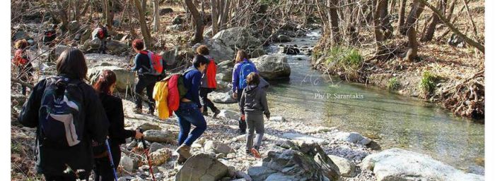 Εκδρομή για την Κυνουρία ετοιμάζουν στο ΣΑΟΟ!