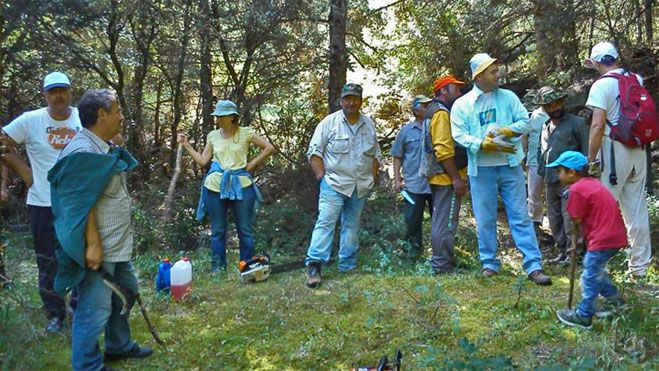 &Kappa;ά&tau;&omicron;&iota;&kappa;&omicron;&iota; &tau;&eta;&sigmaf; &Gamma;&omicron;&rho;&tau;&upsilon;&nu;ί&alpha;&sigmaf; &mu;&epsilon; &tau;&eta; &beta;&omicron;ή&theta;&epsilon;&iota;&alpha; &tau;&omicron;&upsilon; &Sigma;&Alpha;&Omicron;&Omicron; &kappa;&alpha;&theta;&alpha;&rho;ί&zeta;&omicron;&upsilon;&nu; &kappa;&alpha;&iota; &delta;&iota;&alpha;&nu;&omicron;ί&gamma;&omicron;&upsilon;&nu; &mu;&omicron;&nu;&omicron;&pi;ά&tau;&iota;&alpha; &sigma;&tau;&omicron; &Mu;&alpha;ί&nu;&alpha;&lambda;&omicron;